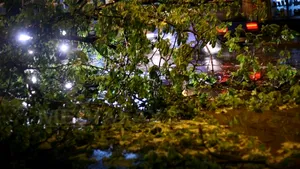 Maşini avariate şi pomi smulşi din rădăcini în timpul unei furtuni puternice la Craiova