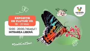 Veranda Mall aduce o expoziţie de fluturi vii aşa cum vezi doar în muzeele tematice 