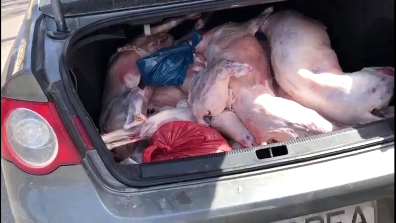 Verificări ANPC înainte de Paşte: Vitrine ruginite, carne expirată sau produse congelate vândute ca fiind refrigerate. Unde au fost descoperite cele mai multe nereguli
