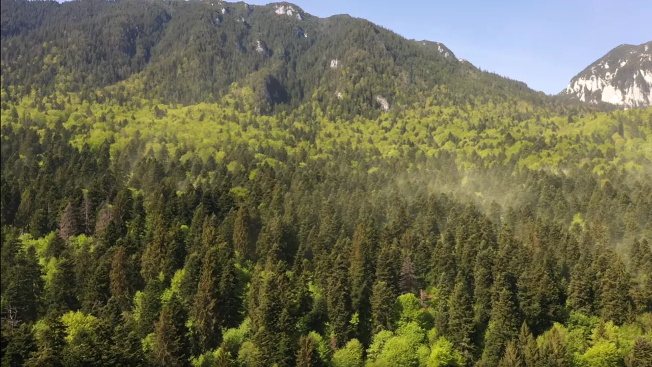 Imagini spectaculoase în Parcul Naţional Piatra Craiului. Un fenomen ce se întâmplă doar o zi pe an a fost surprins pe cameră