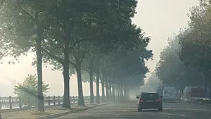 Pompierii din Capitală încearcă să stingă un incendiu de vegetaţie care se manifestă pe 6.000 de metri pătraţi / Traficul pe Splaiul Unirii este restricţionat