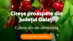 Supermarketul online Sezamo: Numărul clienților care cumpără cireșe a crescut cu 66%
