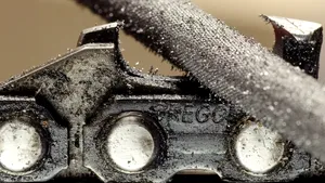 Unior Tepid aduce în prim plan Tomé Feteira – tradiție, continuitate și inovație în pile industriale