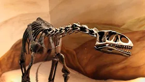 A fost descoperită o nouă specie de dinozaur