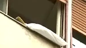 Legiştii vor face autopsia copilului a cărui bunică s-a aruncat cu el în braţe (Video ProTV)