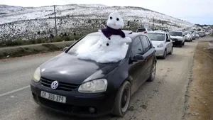 VIDEO A nins în Africa de Sud!