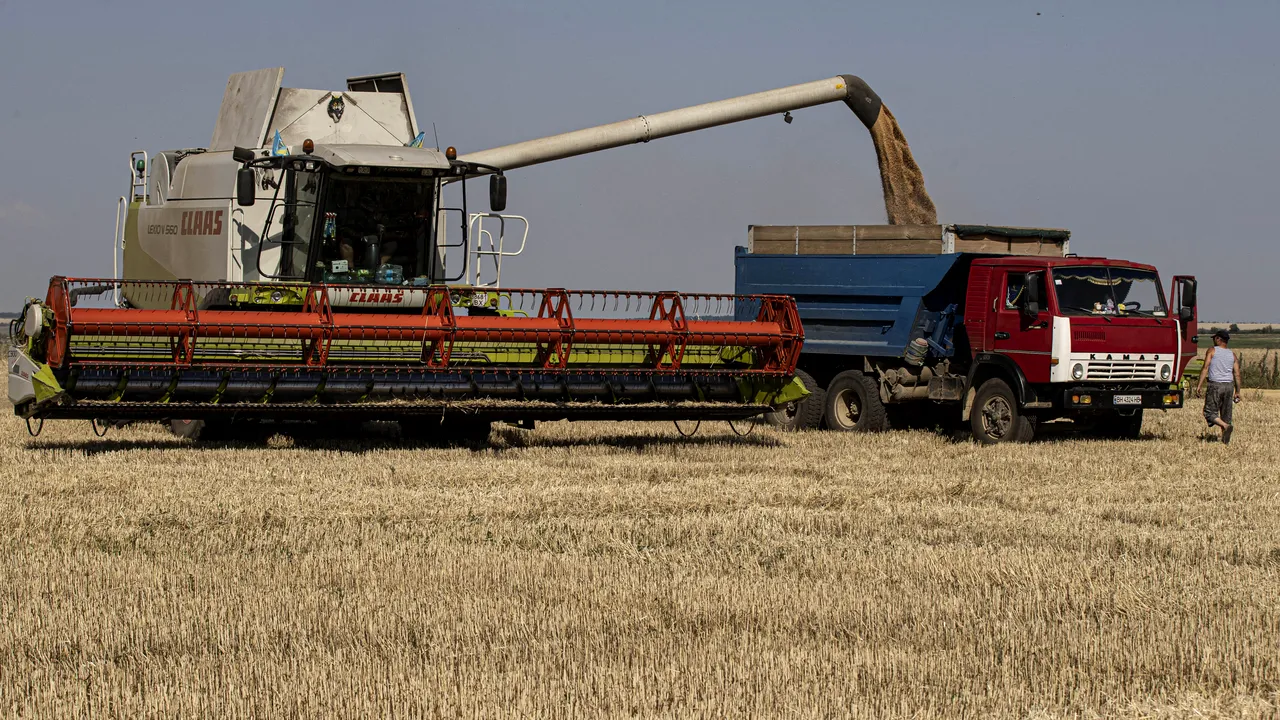 Comisia Europeană propune taxe la importurile de cereale din Rusia şi Belarus