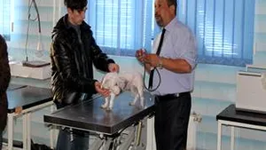 INTERVIU cu Florin Leca, medicul care a înfiinţat prima clinică de cardiologie veterinară: 
