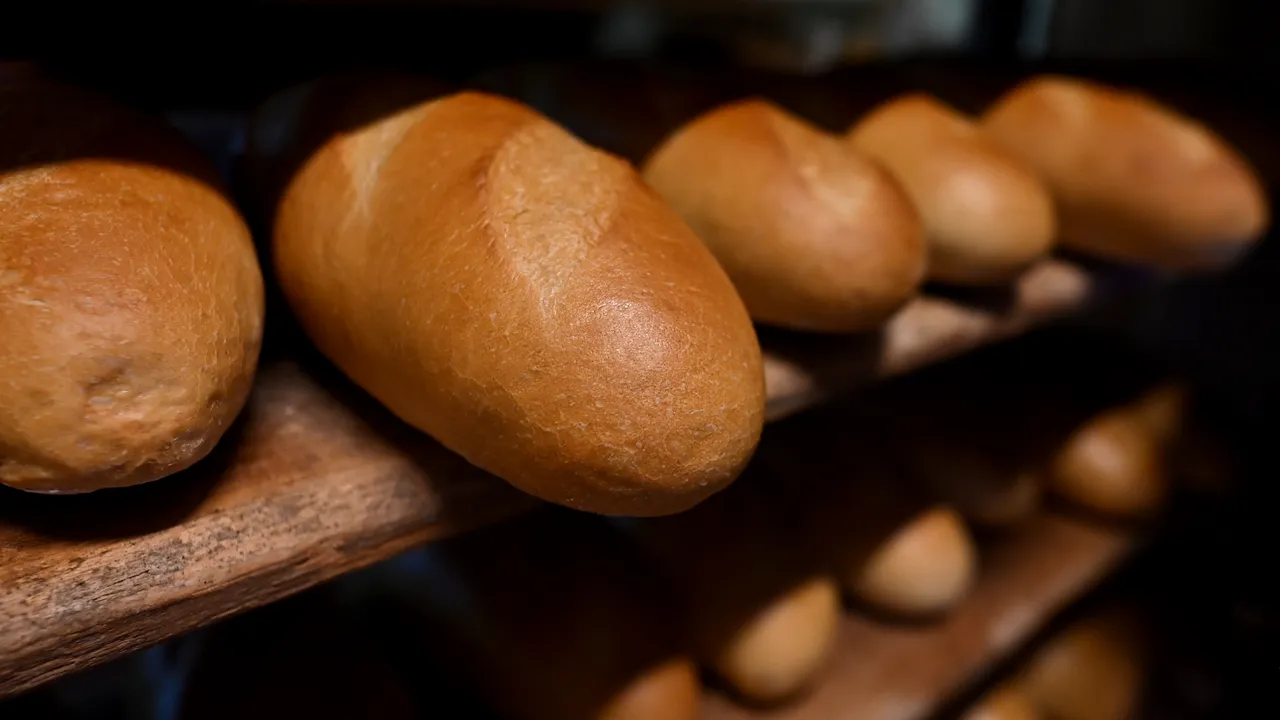 Producţia de pâine din Tokyo, oprită după ce în compoziţie au fost găsite resturi de şobolan