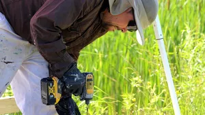 Dezechilibru demografic extrem / O țară din UE se confruntă cu o penurie de bărbați atât de mare, încât femeile sunt nevoite să-și închirieze soți cu ora