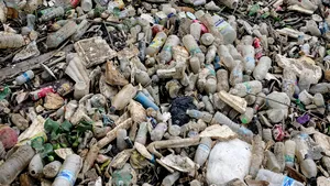 OFICIAL! Numeroase produse din plastic dispar din magazine