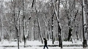 PROGNOZA METEO:  Temperaturi maxime de -10 grade. Cum va fi vremea vineri
