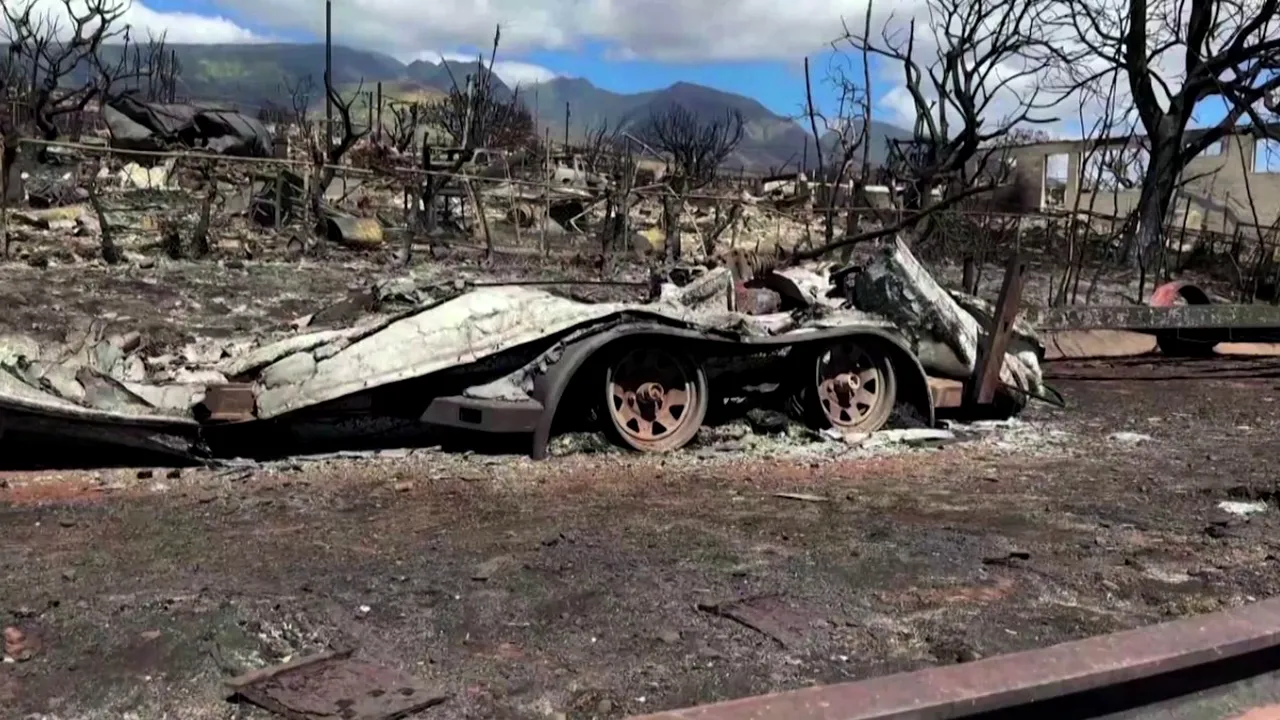 Incendiile din Hawaii: Aproape 100 de decese au fost confirmate