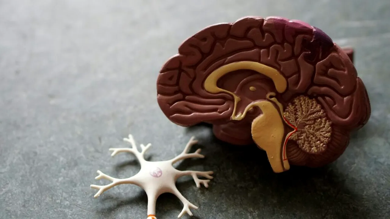 Consumul zilnic al unui aliment poate reduce riscul de demență, arată un studiu