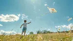 Temperaturi mai mari decât cele specifice perioadei, în următoarele două săptămâni