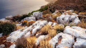 Ce a găsit o femeie care a călătorit pe o insulă cu un trecut sinistru, ștearsă de pe hărți și unde accesul este interzis