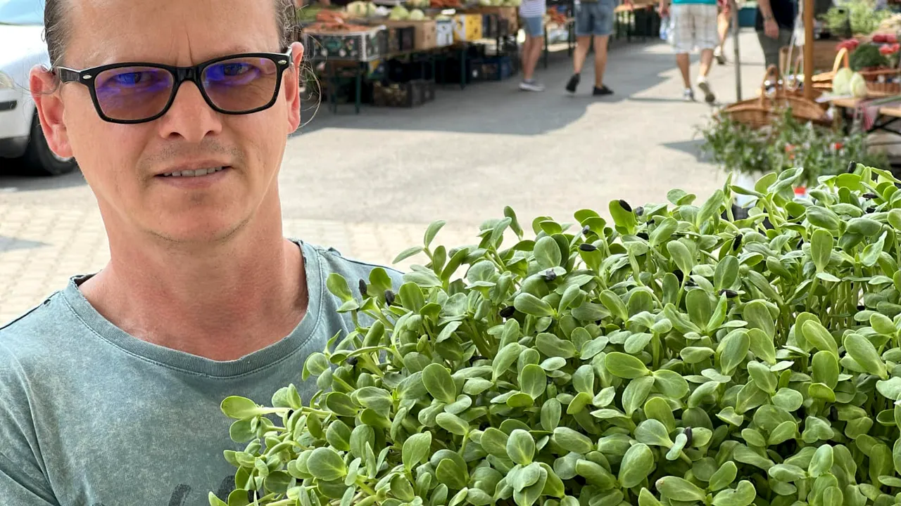 Povestea brăileanului care a renunţat la amenajări interioare pentru a creşte microplante în Sibiu