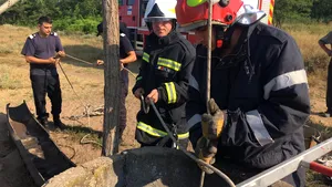 Caz cutremurător: Doi ciobani au fost găsiţi înecaţi într-o fântână de lângă o stână, în  Dolj
