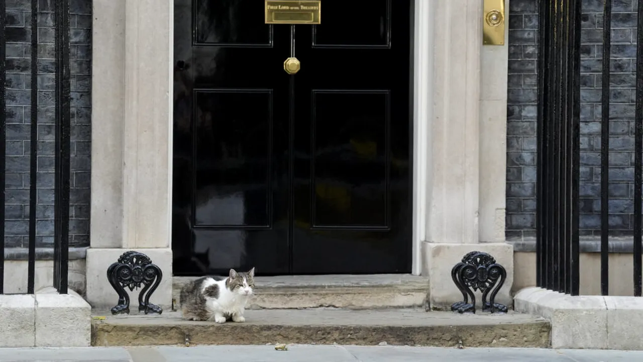 Mai rezistent decât premierii britanici. Larry, motanul de la Downing Street, bifează încă un mandat