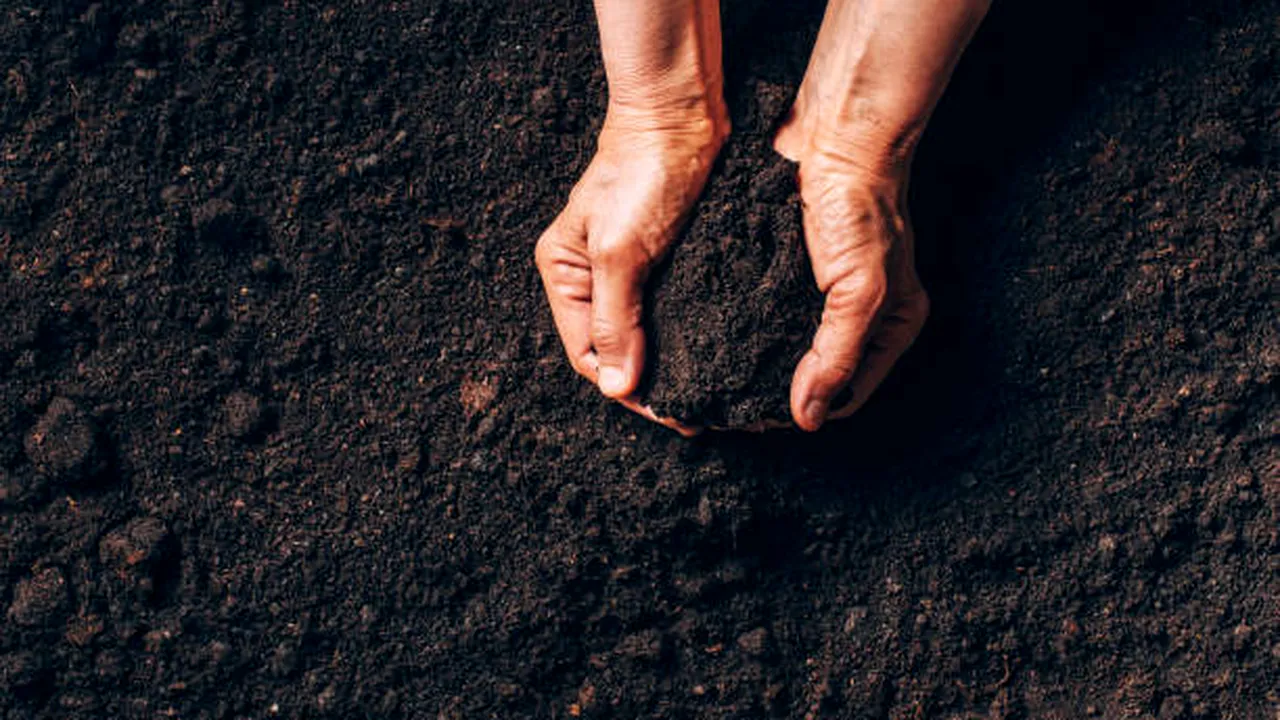 Guvernatorul statului New Jersey a semnat legea compostării umane ca alternativă la înmormântare