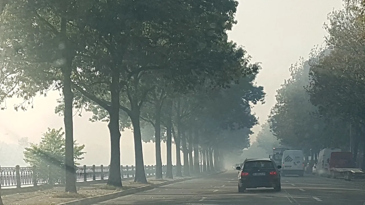 Pompierii din Capitală încearcă să stingă un incendiu de vegetaţie care se manifestă pe 6.000 de metri pătraţi / Traficul pe Splaiul Unirii este restricţionat