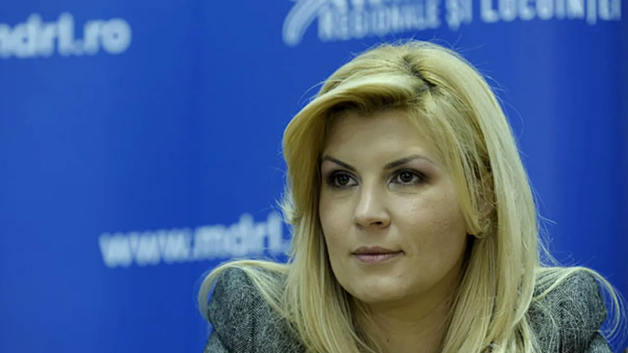 Udrea vrea să construiască 25.000 de locuinţe în mediul rural pentru medici, profesori, preoţi