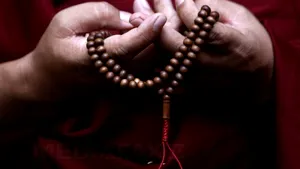 Tulburările psihice ar putea fi tratate prin meditaţia budistă