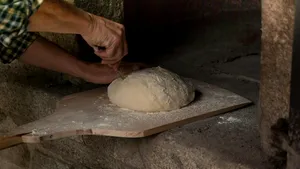 Ministerul Agriculturii lansează o nouă sesiune de finanțare pentru procesarea alimentelor românești / Buget de aproape 165 de milioane de euro / Care sunt proiectele eligibile