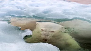 FOTOGRAFIA ANULUI 2013: Care sunt cele mai bune imagini ale anului, la concursul National Geographic. Un băiat român, protagonistul uneia dintre fotografii - FOTO