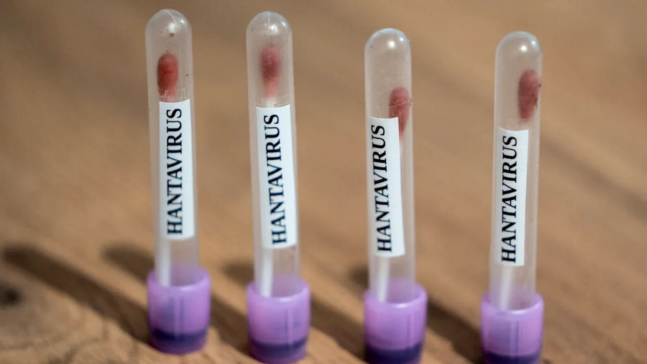 Focarul de hantavirus se extinde: Spania anchetează un caz suspect legat de nava MV Hondius