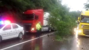 FOTO | Argeş: Gospodării inundate, copaci căzuţi peste maşini şi drumuri blocate, după furtună