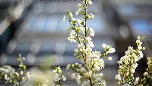 VREMEA până pe 6 aprilie. PROGNOZA METEO pentru următoarele două săptămâni