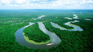 Aerul curat ar putea distruge bazinul Amazonului