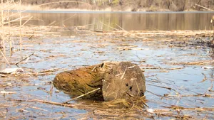 Cel puţin 17 morţi, în urma unei furtuni tropicale în Madagascar. Peste 6.000 de persoane, evacuate