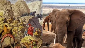 Hannibal din secolul 21? Preşedintele unui stat african ameninţă că va trimite 20.000 de elefanţi în Germania. Mokgweetsi Masisi: 