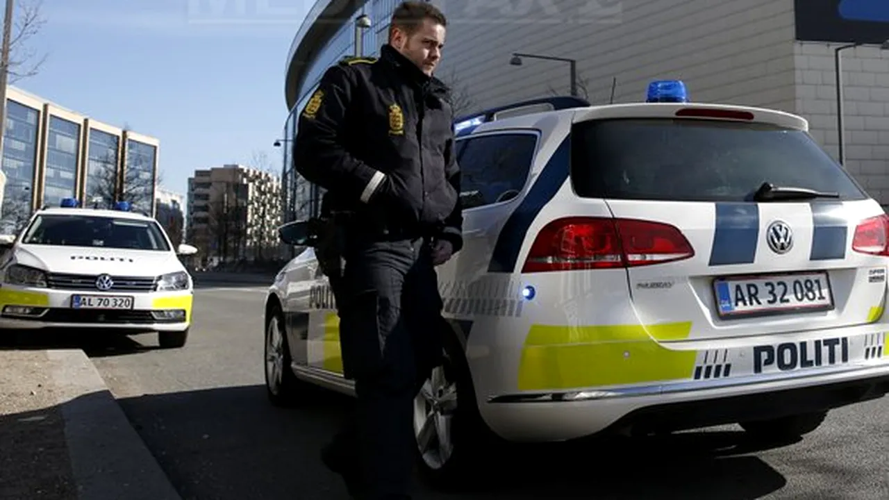 Poliţia daneză urmăreşte doi hoţi care au furat un bust de Rodin dintr-un muzeu din Copenhaga