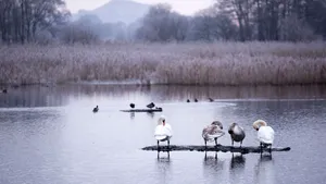 METEO 24 decembrie. Vremea în ajun de Crăciun: temperaturile aerului sunt în creştere