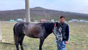 Tânărul care a mers călare până la maternitatea din Iaşi a primit numeroase ajutoare. Ce a făcut cu ele: gestul său a impresionat pe toată lumea