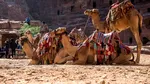 „Locul unde cămilele se tem să meargă”: 200 de schelete au fost descoperite într-un cimitir preistoric din deșertul Sahara