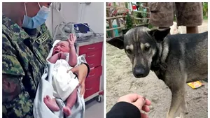 O şansă la viaţă furată de oameni, dar redată de animale: Un bebeluş abandonat într-un depozit de deşeuri a fost salvat de un câine