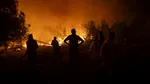 Un pompier voluntar a murit iar alte opt persoane au fost rănite în urma unui incendiu de vegetație din Turcia