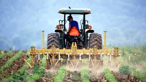 Adrian Oros: În agricultură există vânători de subvenţii