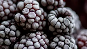 (P) Conservarea alimentelor prin congelare: cea mai sigură metodă să păstrezi alimentele pentru mai mult timp