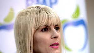 Comisia juridică a Camerei a AVIZAT în unanimitate începerea urmăririi penale pentru Elena Udrea
