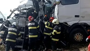 O misiune pentru salvarea animalelor s-a transformat într-o tragedie în România. Două femei britanice și opt câini au murit