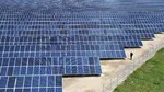 Bulgaria inaugurează la granița cu România unul dintre cele mai mari parcuri solare din țară