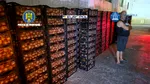 70 milioane de țigarete de 12 milioane de euro, ascunse într-un transport de ceapă. Parchetul General prinde un grup de criminalitate organizată format din români și moldoveni