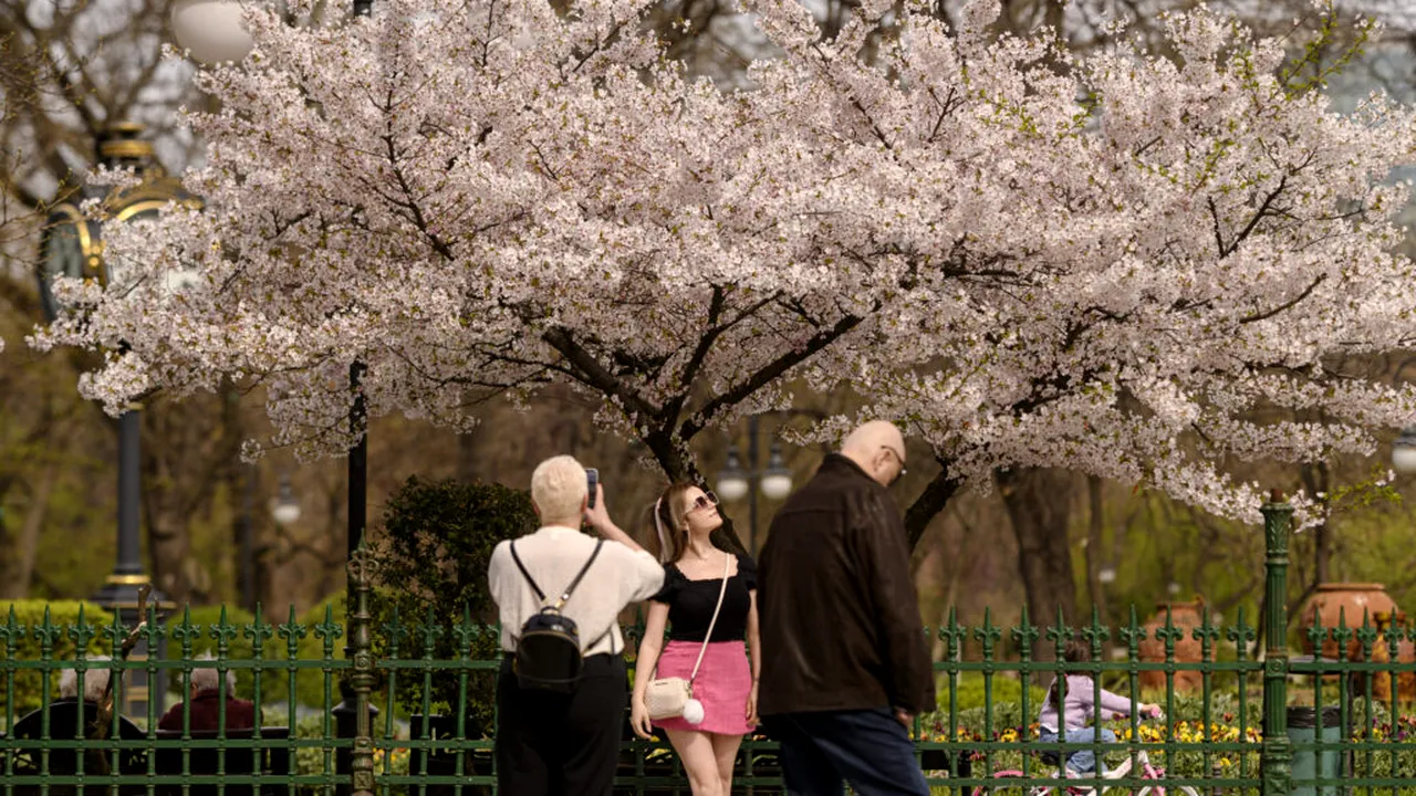 Echinocțiul de primăvară - 20 martie 2026: ce înseamnă, ce efecte are și ce superstiții există