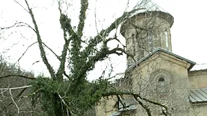 Biserici din Georgia, înscrise de UNESCO pe lista patrimoniului în pericol