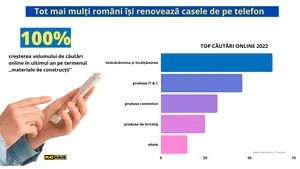 Mathaus: Tot mai mulţi români îşi renovează casele de pe telefon